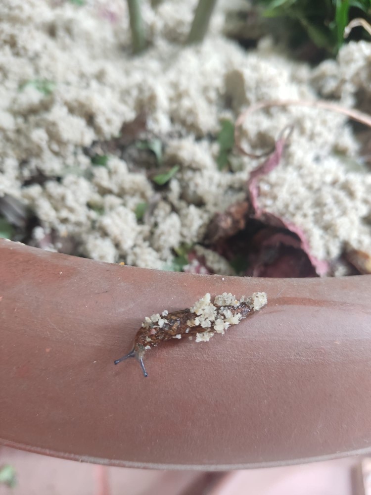 WhatsApp Image 2026-03-13 at 19.11.44 (3).jpeg