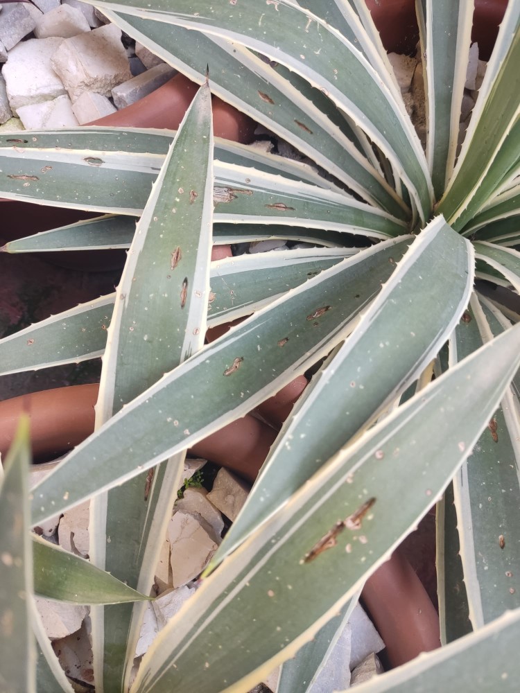 WhatsApp Image 2026-03-13 at 19.11.38.jpeg