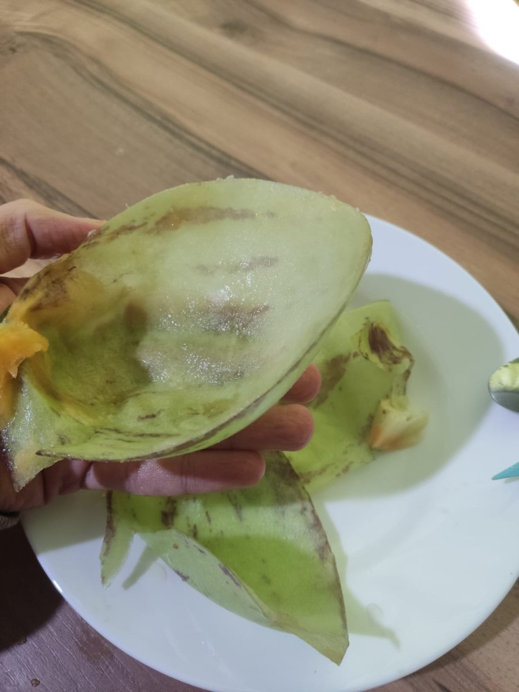 WhatsApp Image 2026-03-14 at 16.40.20.jpeg