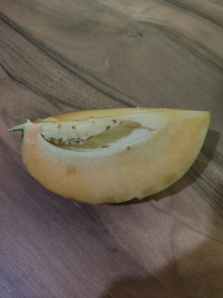 WhatsApp Image 2026-03-14 at 16.40.21 (1).jpeg