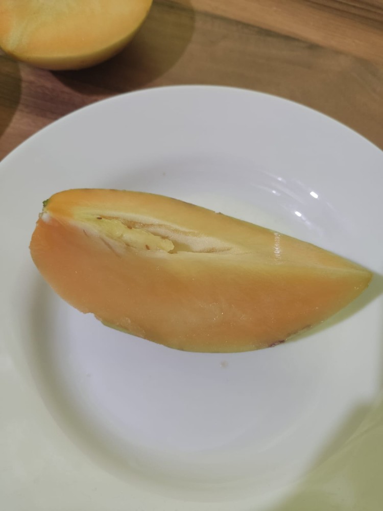 WhatsApp Image 2026-03-14 at 16.40.21 (2).jpeg