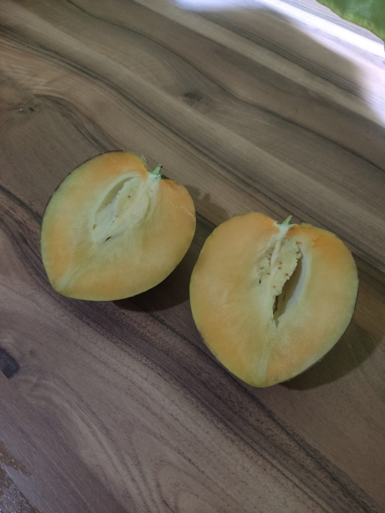 WhatsApp Image 2026-03-14 at 16.40.21 (3).jpeg