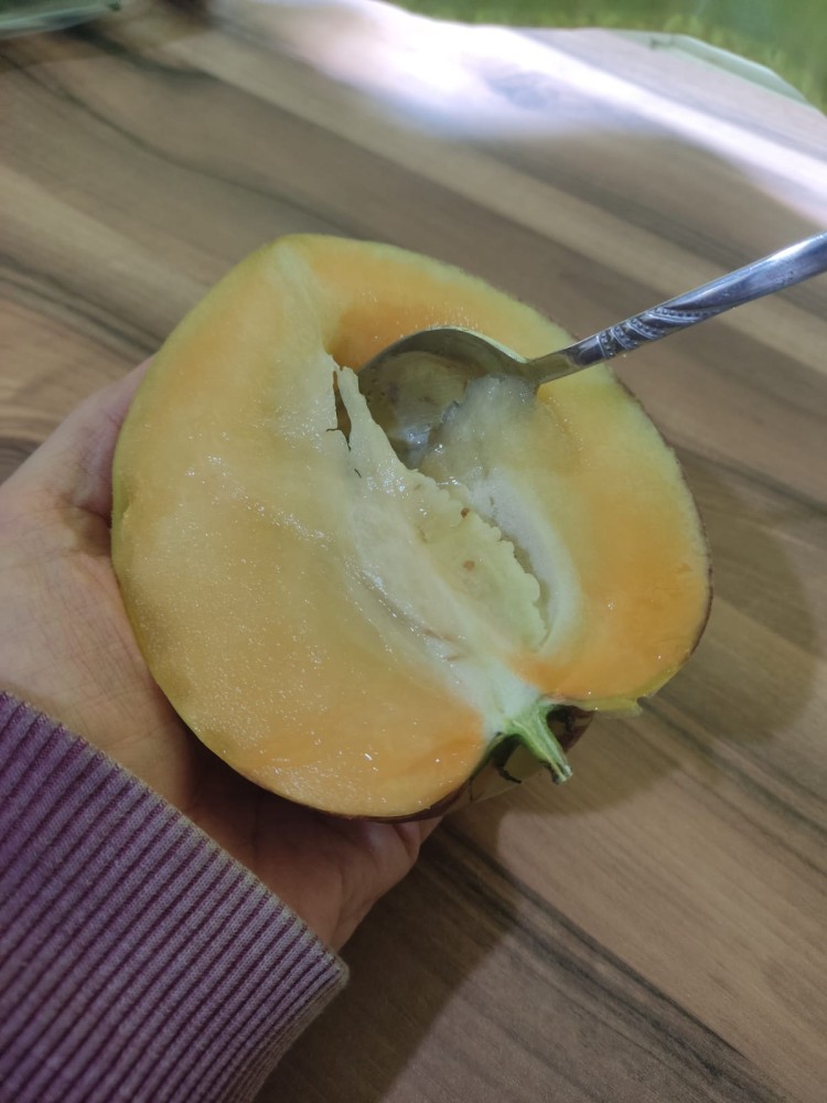 WhatsApp Image 2026-03-14 at 16.40.21.jpeg