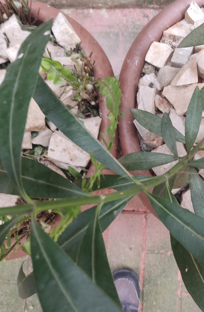 WhatsApp Image 2026-03-14 at 16.40.23.jpeg