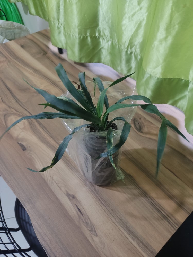 WhatsApp Image 2026-03-15 at 14.09.33 (1).jpeg