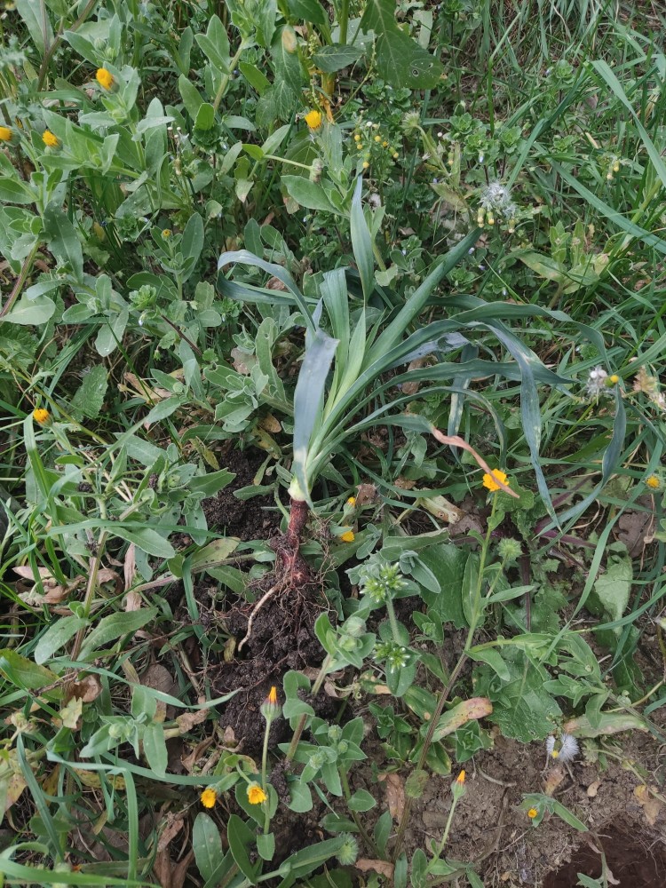 WhatsApp Image 2026-03-15 at 14.09.30.jpeg