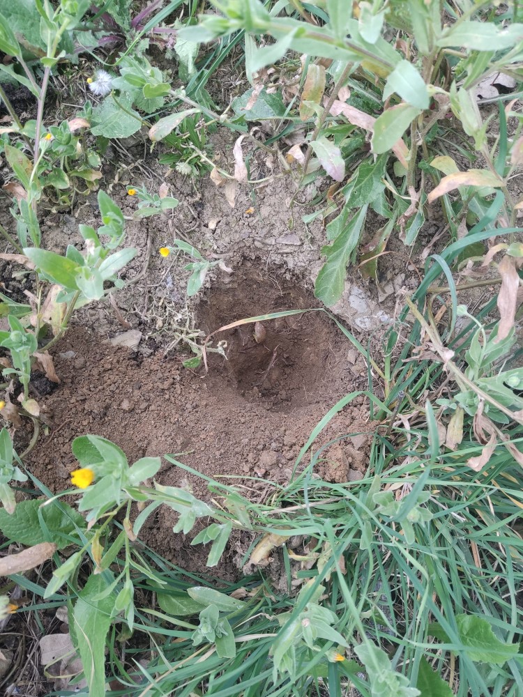 WhatsApp Image 2026-03-15 at 14.09.28.jpeg