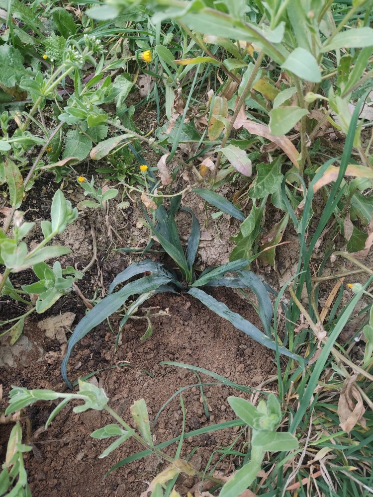 WhatsApp Image 2026-03-15 at 14.09.26 (1).jpeg