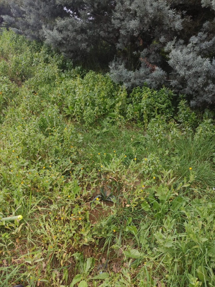 WhatsApp Image 2026-03-15 at 14.09.26.jpeg