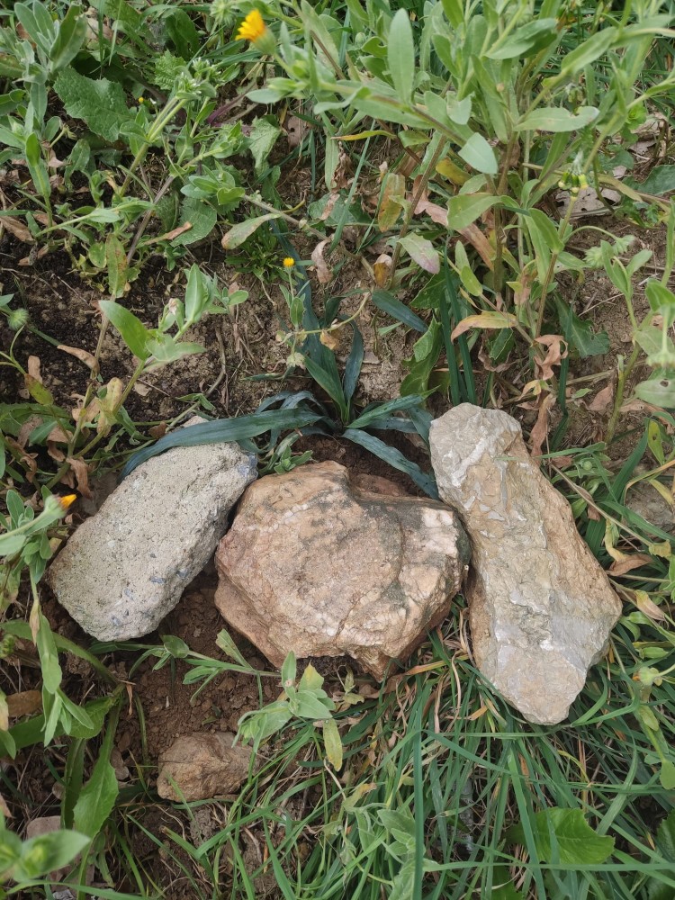 WhatsApp Image 2026-03-15 at 14.09.21 (1).jpeg