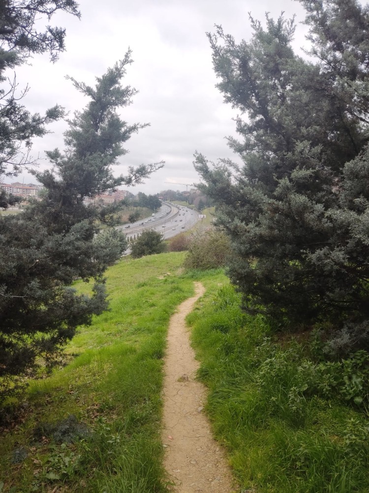 WhatsApp Image 2026-03-15 at 14.09.21 (2).jpeg