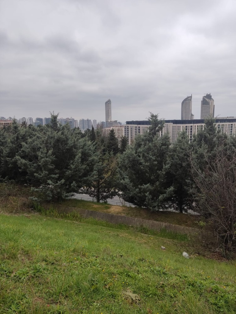 WhatsApp Image 2026-03-15 at 14.09.22.jpeg