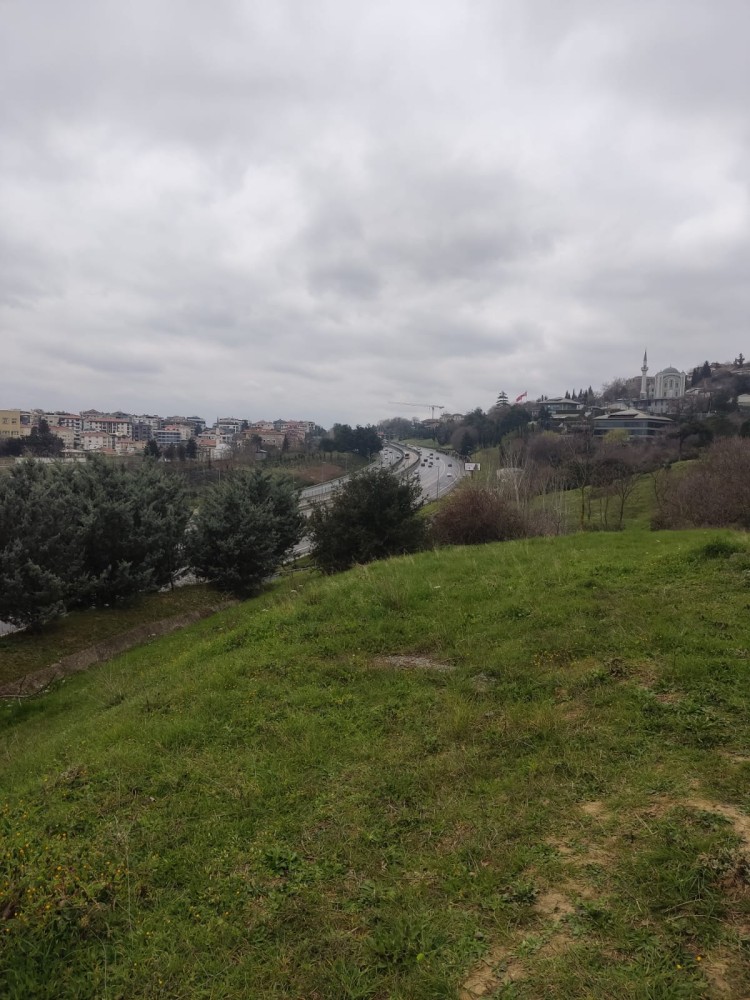 WhatsApp Image 2026-03-15 at 14.09.23 (1).jpeg