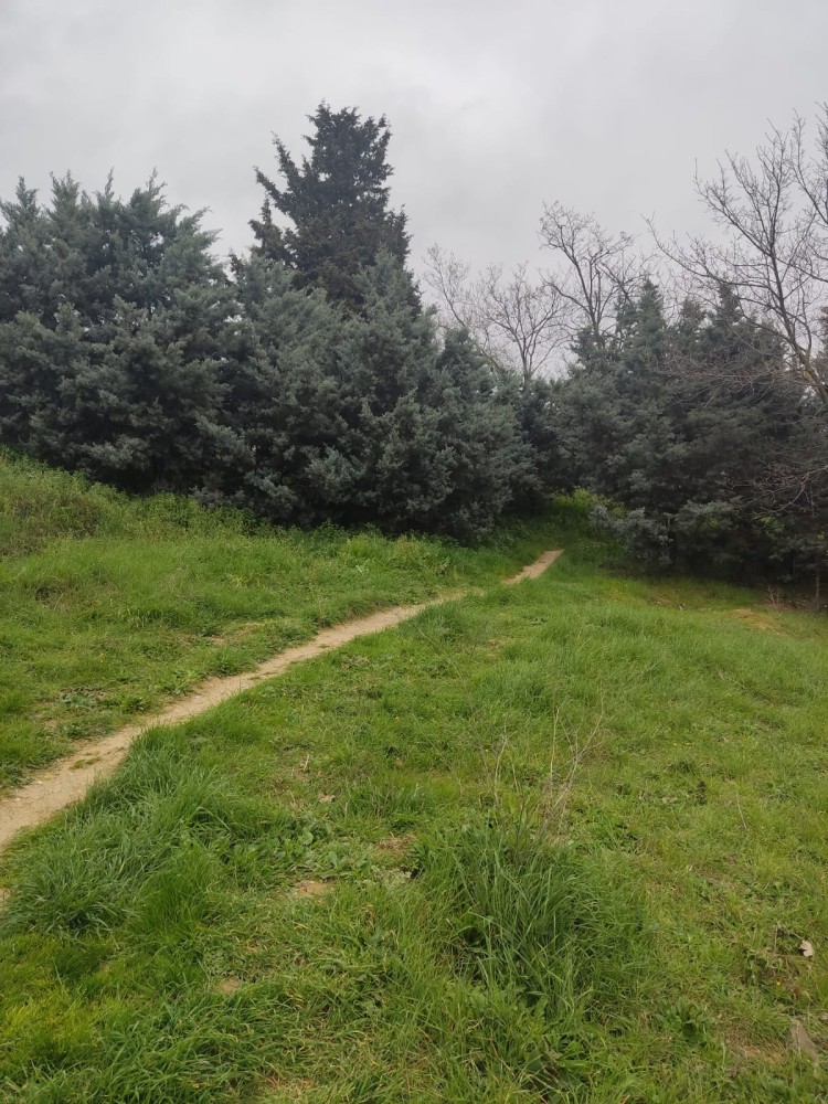 WhatsApp Image 2026-03-15 at 14.09.23.jpeg