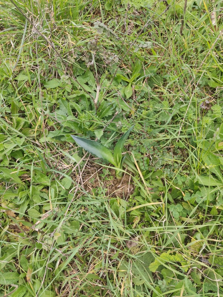 WhatsApp Image 2026-03-15 at 14.09.23 (2).jpeg