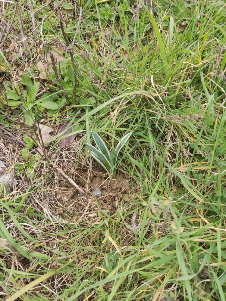 WhatsApp Image 2026-03-15 at 14.09.23 (3).jpeg