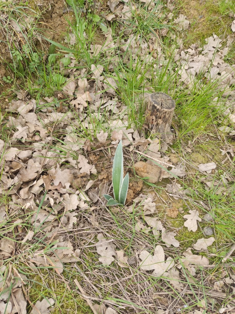 WhatsApp Image 2026-03-15 at 14.09.24 (1).jpeg