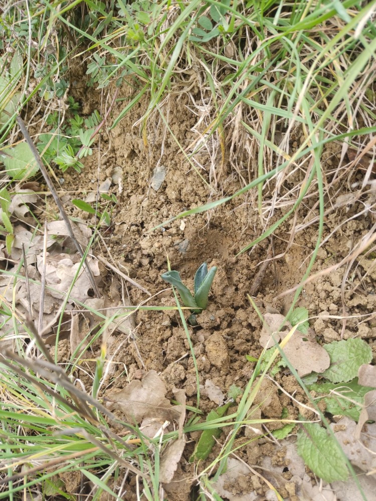 WhatsApp Image 2026-03-15 at 14.09.24.jpeg