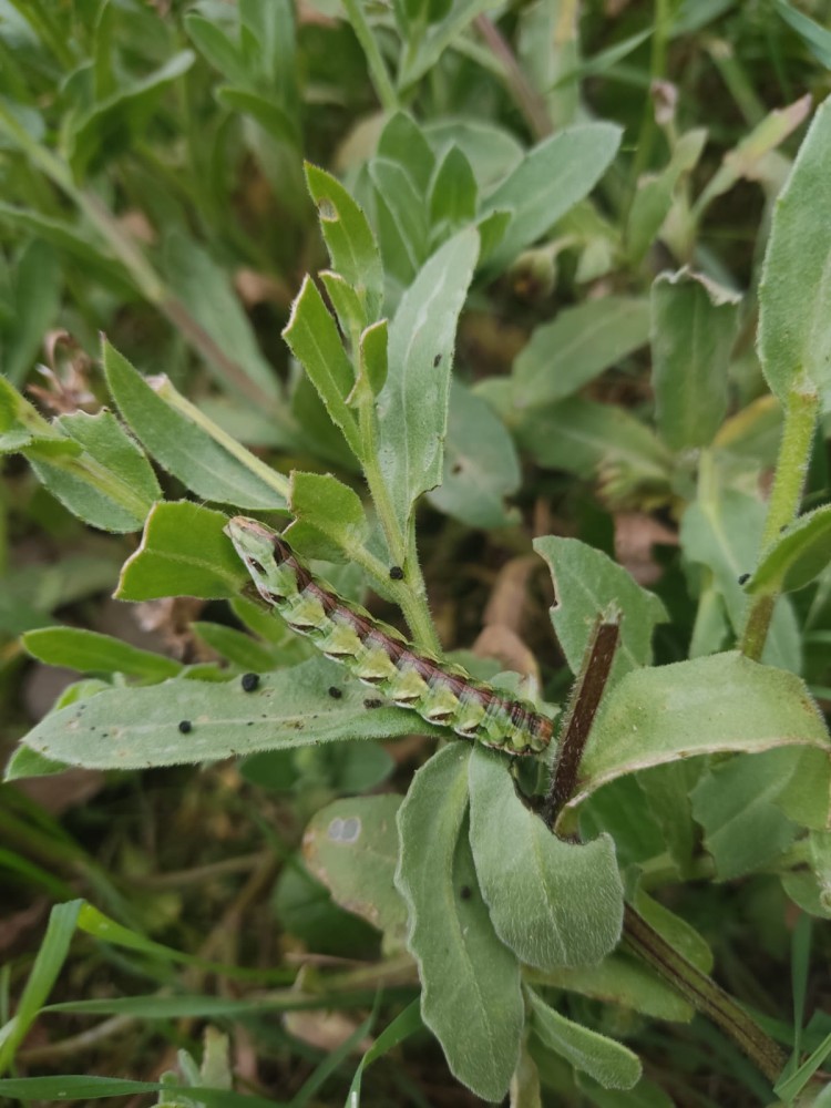 WhatsApp Image 2026-03-15 at 14.09.25.jpeg