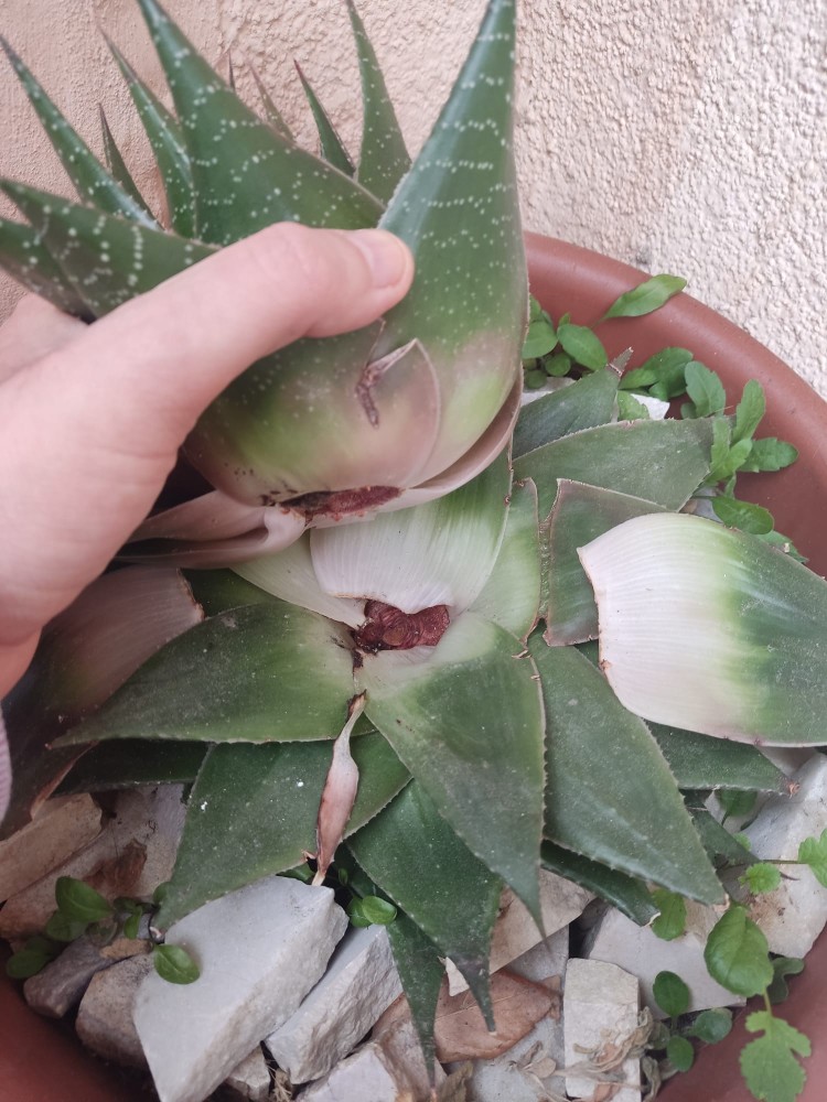 WhatsApp Image 2026-03-15 at 14.09.33.jpeg