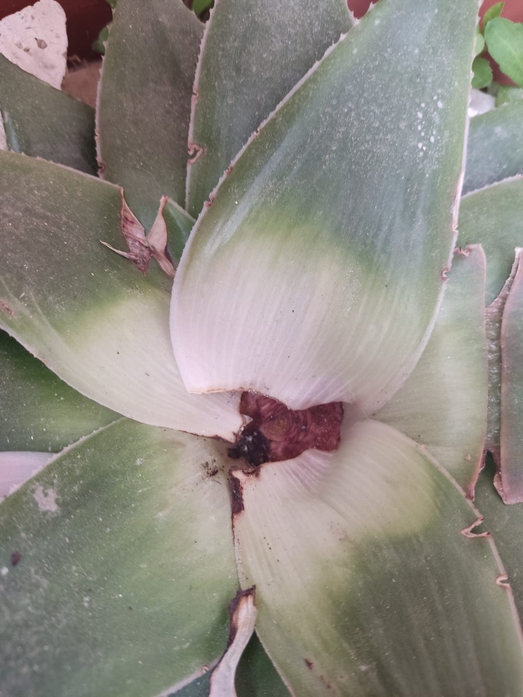 WhatsApp Image 2026-03-15 at 14.09.31 (1).jpeg