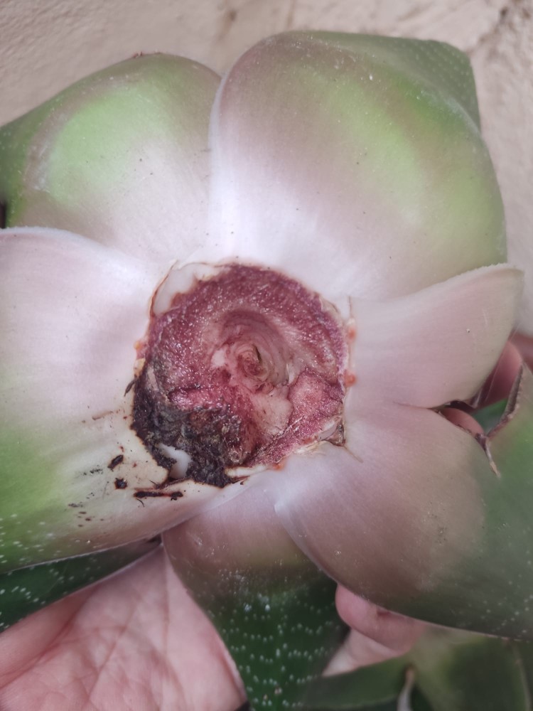 WhatsApp Image 2026-03-15 at 14.09.32.jpeg