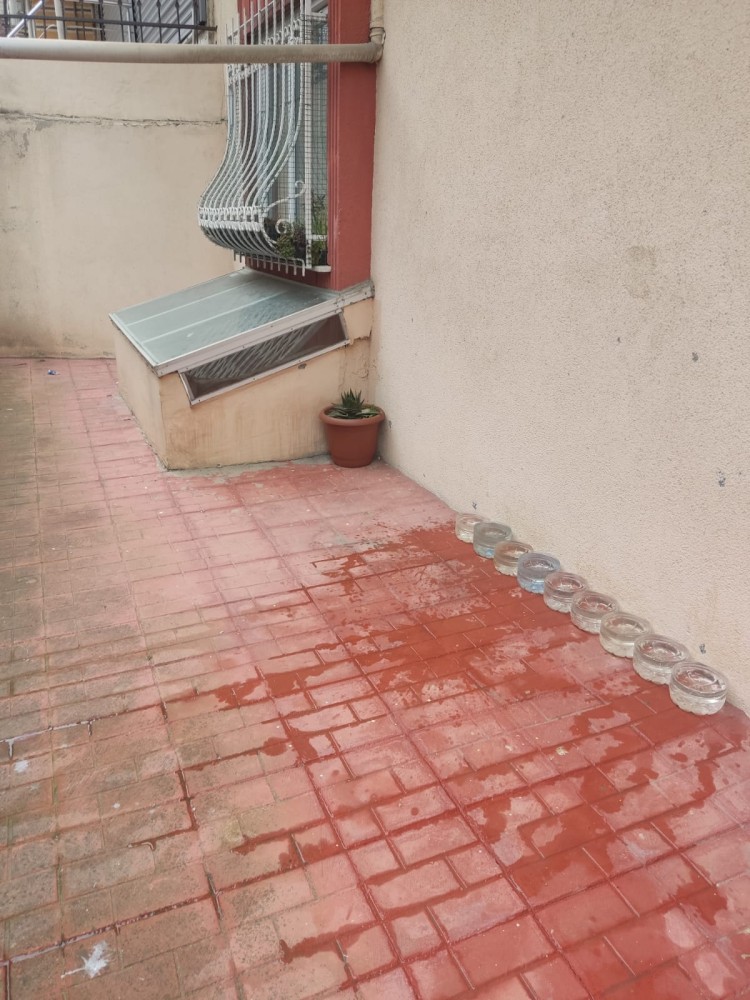 WhatsApp Image 2026-03-15 at 14.09.17.jpeg