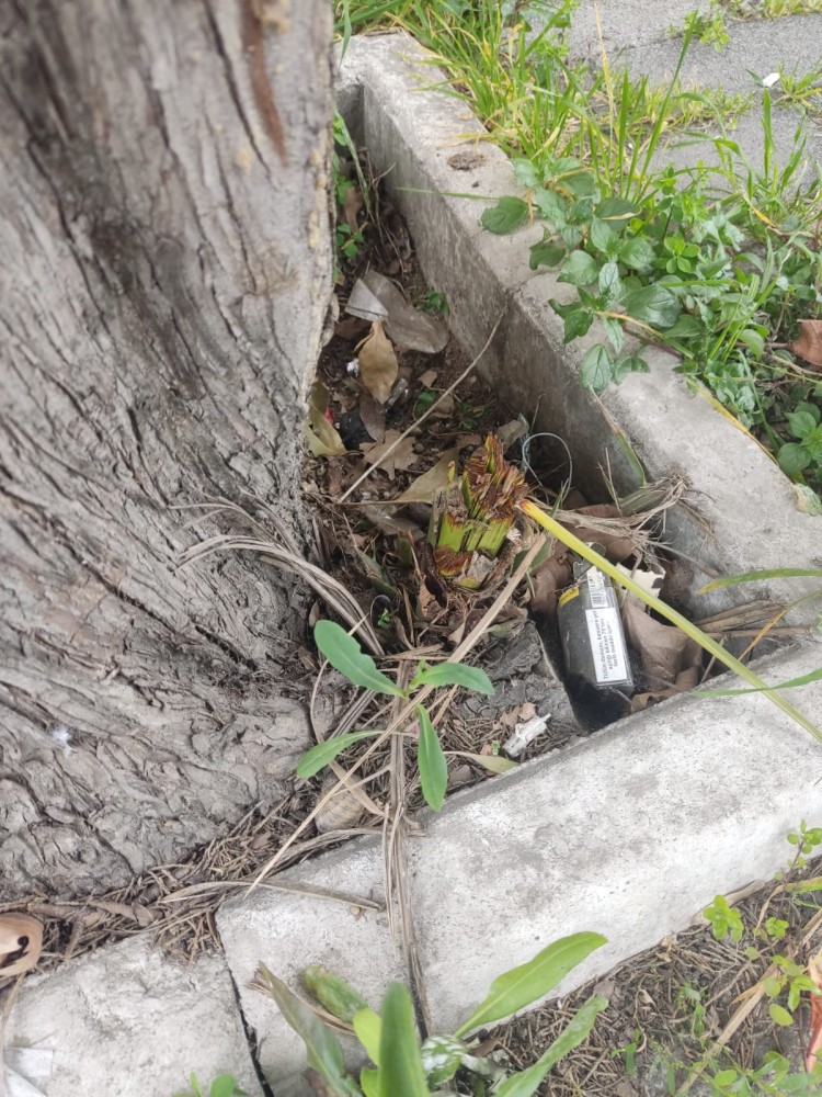 WhatsApp Image 2026-03-15 at 14.09.20 (2).jpeg