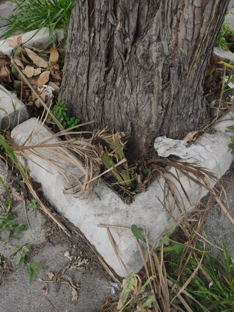 WhatsApp Image 2026-03-15 at 14.09.21.jpeg