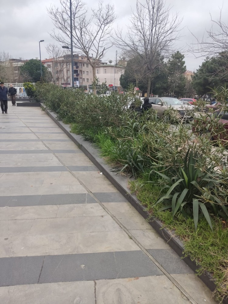 WhatsApp Image 2026-03-15 at 14.09.19.jpeg