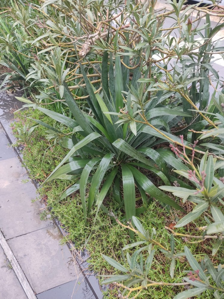 WhatsApp Image 2026-03-19 at 23.02.15 (1).jpeg