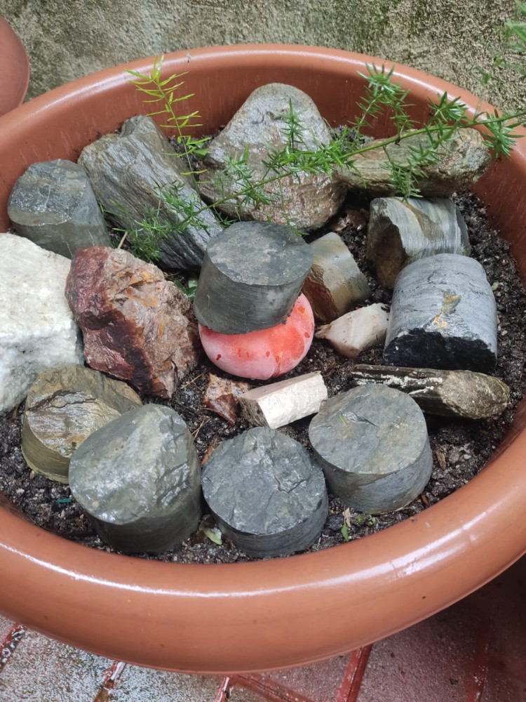 WhatsApp Image 2026-03-19 at 23.02.15 (3).jpeg