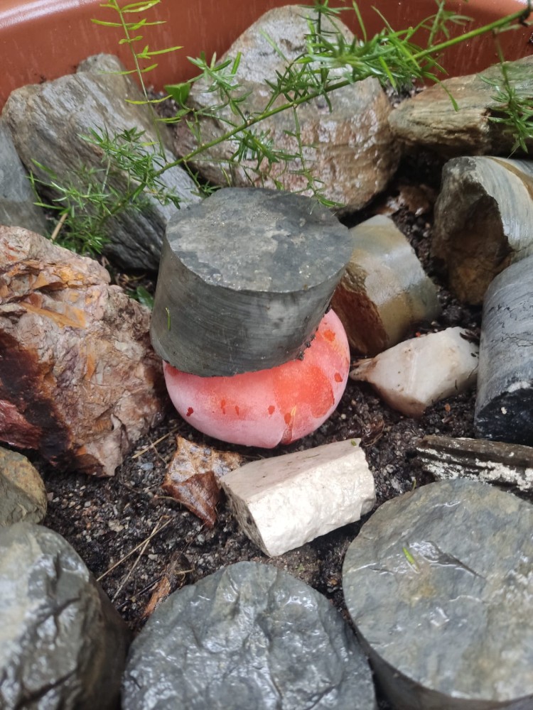 WhatsApp Image 2026-03-19 at 23.02.15 (2).jpeg