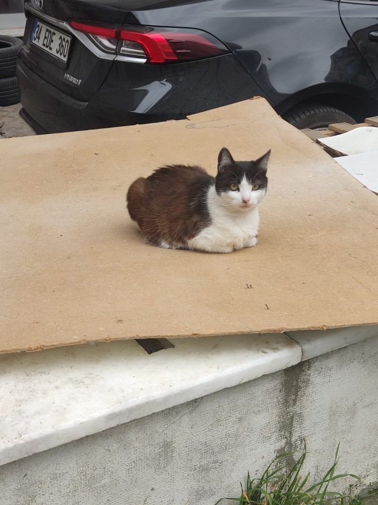 WhatsApp Image 2026-03-15 at 14.09.18 (1).jpeg