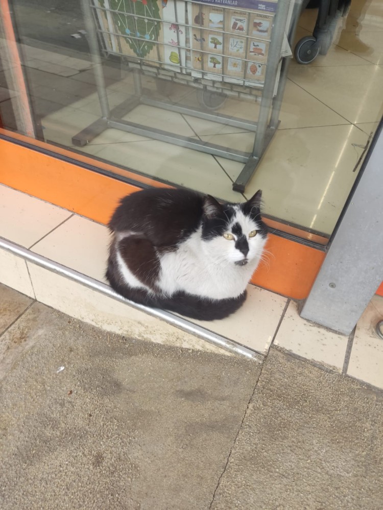 WhatsApp Image 2026-03-15 at 14.09.19 (1).jpeg