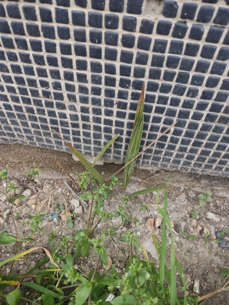 WhatsApp Image 2026-03-15 at 14.09.31.jpeg