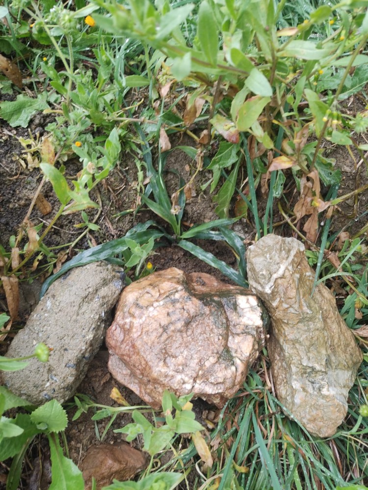 WhatsApp Image 2026-03-20 at 19.36.19 (1).jpeg