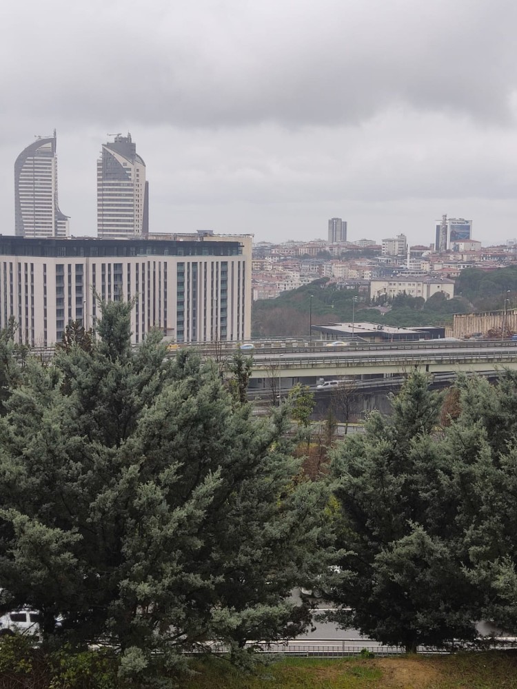 WhatsApp Image 2026-03-20 at 19.36.16 (2).jpeg