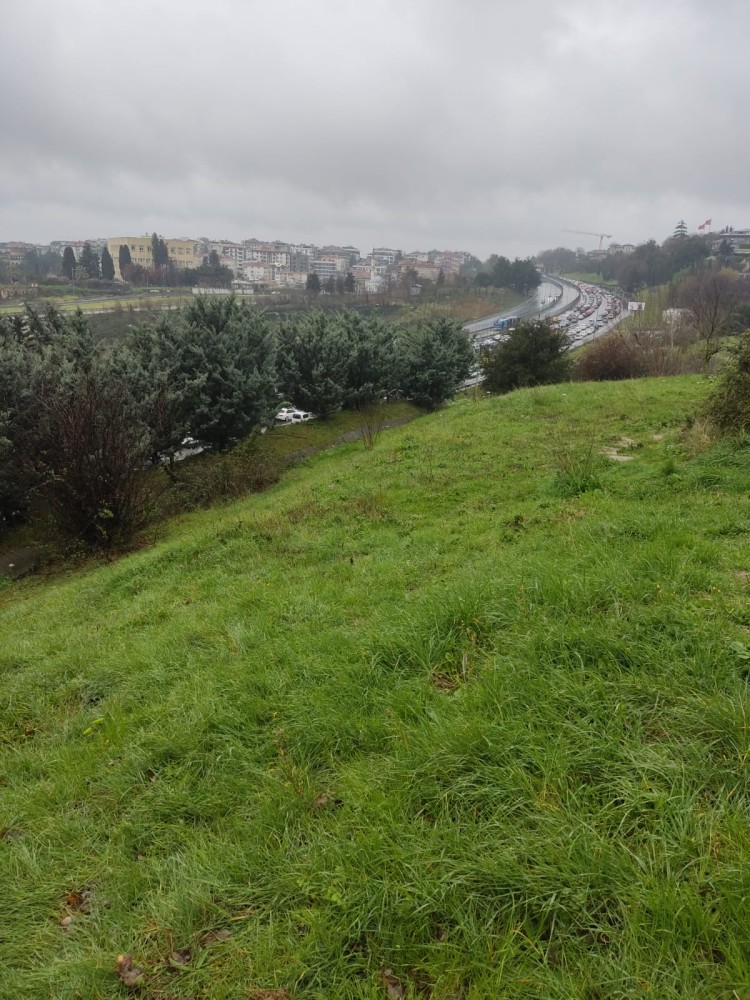 WhatsApp Image 2026-03-20 at 19.36.15.jpeg