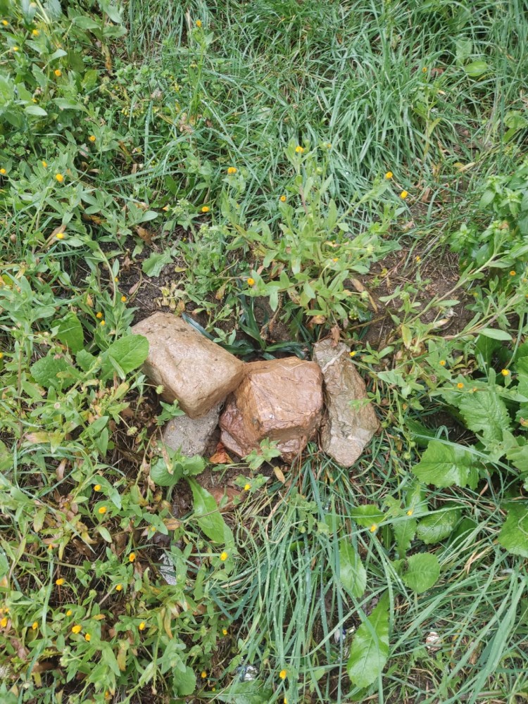 WhatsApp Image 2026-03-20 at 19.36.16 (1).jpeg