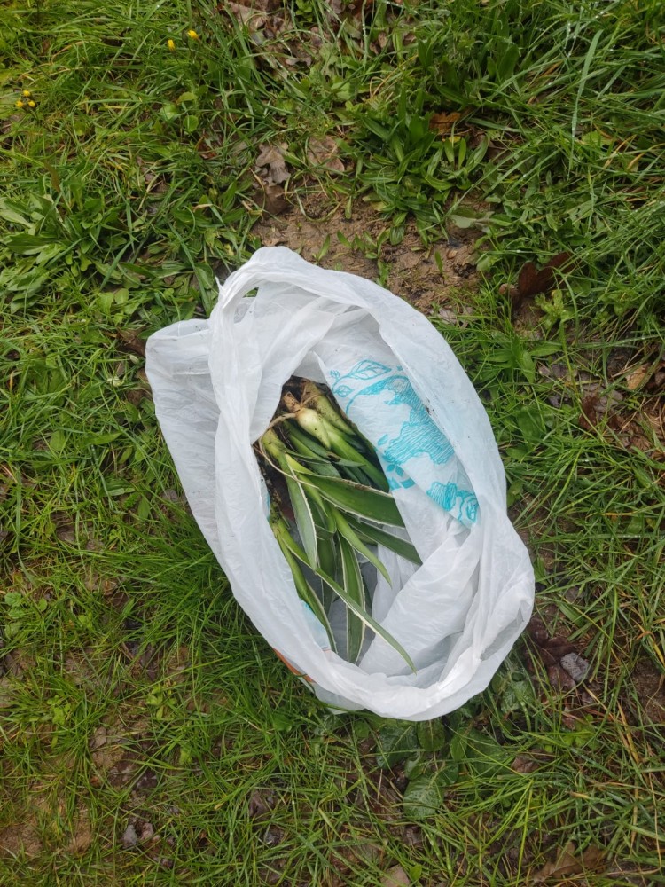 WhatsApp Image 2026-03-20 at 19.36.16.jpeg