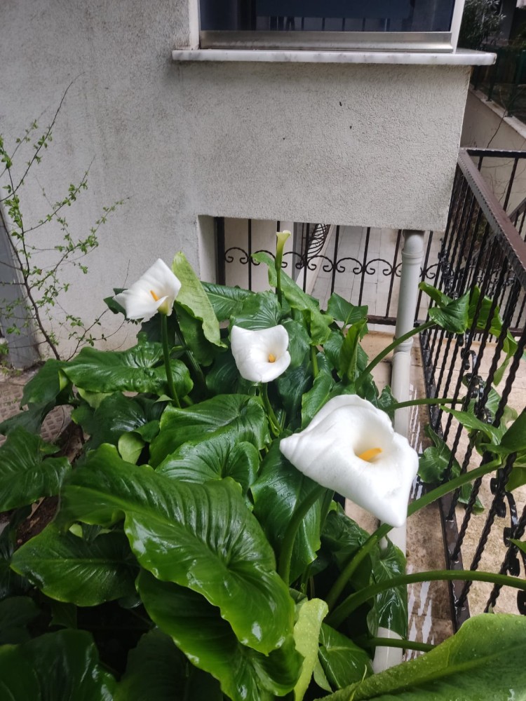 WhatsApp Image 2026-03-20 at 19.36.13.jpeg