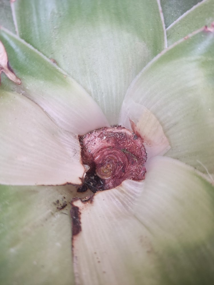 WhatsApp Image 2026-03-20 at 19.36.18 (1).jpeg