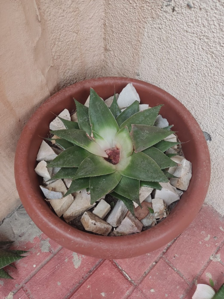 WhatsApp Image 2026-03-20 at 19.36.17.jpeg