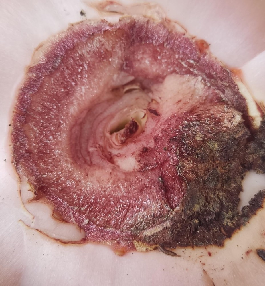 WhatsApp Image 2026-03-20 at 19.56.58 (1).jpeg