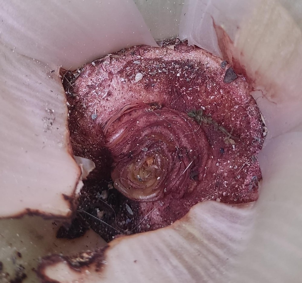 WhatsApp Image 2026-03-20 at 19.56.58.jpeg