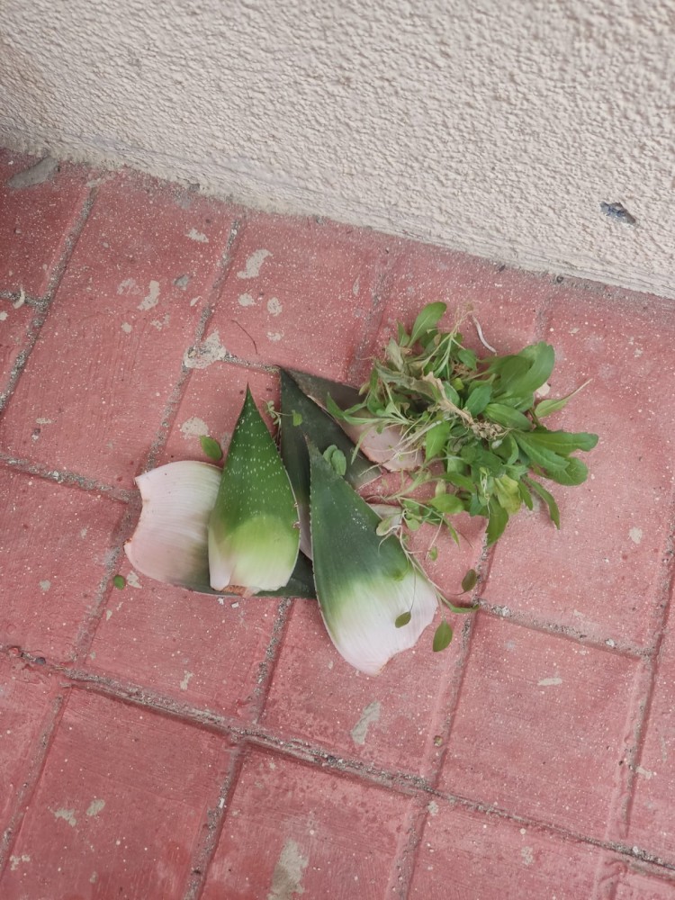 WhatsApp Image 2026-03-20 at 19.36.18.jpeg