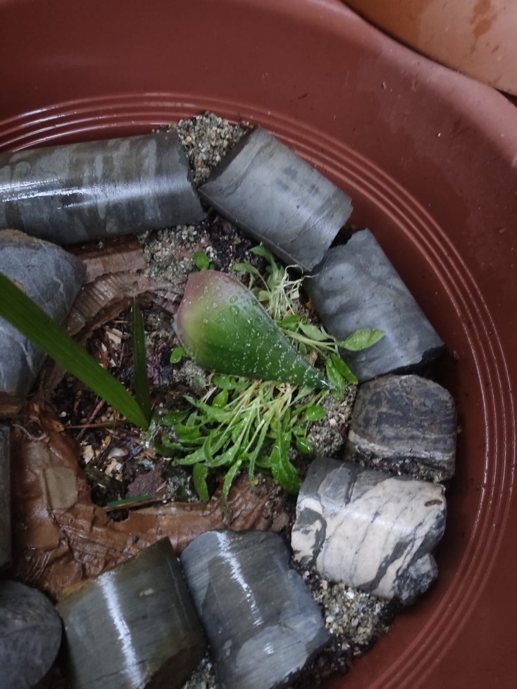 WhatsApp Image 2026-03-20 at 19.36.13 (1).jpeg