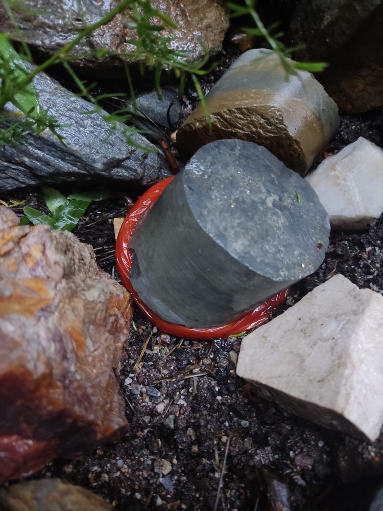 WhatsApp Image 2026-03-21 at 18.33.51.jpeg