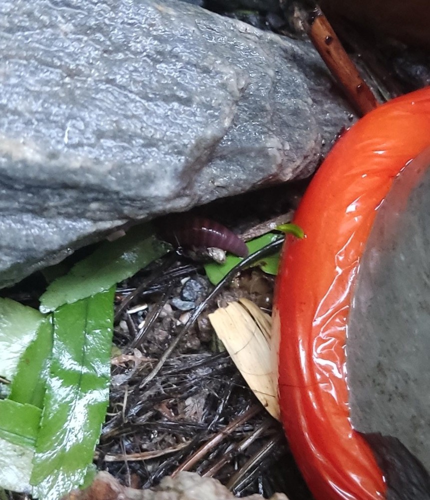 WhatsApp Image 2026-03-21 at 18.33.52.jpeg